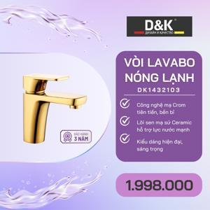 Vòi lavabo nóng lạnh D&K DK1432103