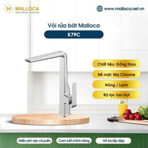 Vòi rửa bát Malloca K79C
