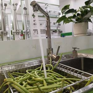 Vòi rửa bát Moonoah MN-G2316