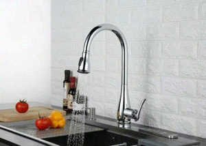 Vòi rửa bát Roslerer RL-668