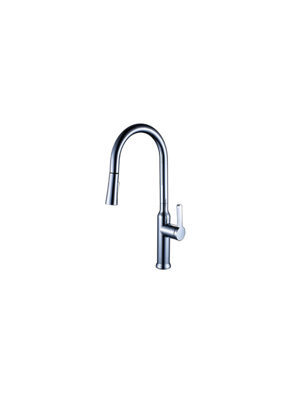 Vòi rửa bát Roslerer RL-805 New