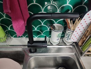 Vòi rửa chén Hafele HT21-GH1P254 577.55.290