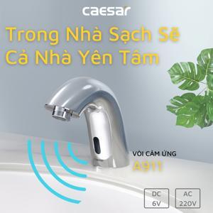 Vòi rửa Lavabo cảm ứng Caesar A911