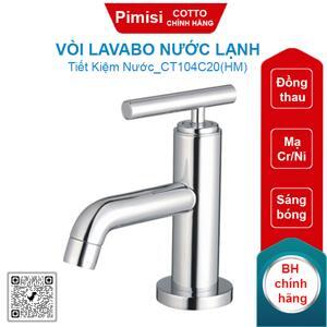 Vòi rửa mặt lavabo COTTO CT104C20