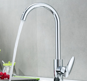 Vòi rửa Roslerer RL-803