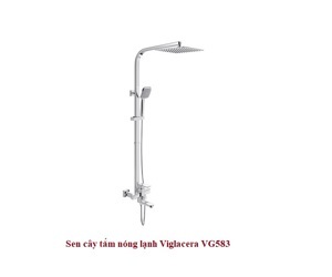 Vòi sen cây Viglacera VG583 Nóng lạnh