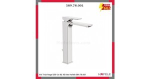 Vòi trộn REGAL 250 có bộ xả kéo 589.78.001