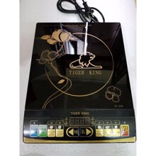Bếp từ Tigerking PC22N