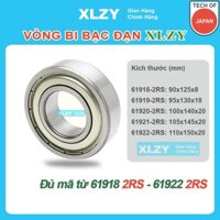 Vòng bi bạc đạn 61918 61919 61920 61921 61922 - vòng bi thép xlzy - vongbibacdanxlzy