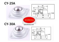 VÒNG BI MẮT TRÂU