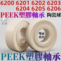 Vòng bi nhựa Peek 6200 6201 6202 6203 6204 6205 6206 2RS Con dấu hai mặt