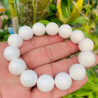 Vòng chuỗi đeo tay đá San Hô trắng size 16li hợp mệnh thuỷ, mệnh kim Tặng theo hợp đựng và dây thay thế