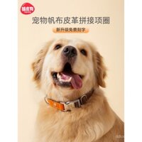 Vòng cổ chó khắc tên, vòng cổ chống thất lạc cho chó vừa và lớn, vòng cổ cho chó Golden Retriever, Corgi, Shiba Inu