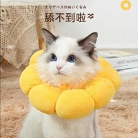 Vòng cổ cho mèo Elizabethan, chống liếm và diệt bọ chét, vòng cổ mèo ngắn kiểu Anh, vòng cổ, mũ đội
