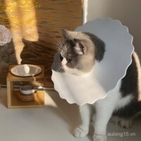 Vòng cổ Elizabethan dành cho mèo Ragdoll sau khi tiệt trùng, cho ăn, chống trầy xước, chống liếm
