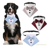 Vòng cổ thú cưng cho mèo hoàng tử IVY- Bộ đồ thú cưng cho chó Trang trí Tie Bandana- Khăn quàng cổ