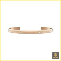 Vòng Daniel Wellington Classic Lumine Bracelet RG – DW00400531