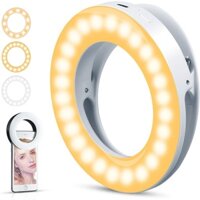 Vòng Đèn LED 3200K-6500K 40 Bóng Hỗ Trợ Chụp Ảnh Selfie Cho Điện Thoại iPhone Android