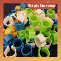 VÒNG ĐEO CHÂN CHO GÀ
