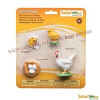 Vòng đời của gà - Mô hình safari, hàng xuất dư - Giáo cụ dạy trẻ về thế giới xung quanh