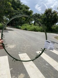 Vòng giữ thân cây Daim đường kính 37cm kết hợp với ống thép bọc nhựa làm khung trồng hoa