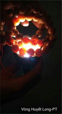 Vòng Gỗ Huyết Long 12 li