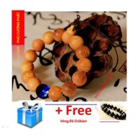 Vòng gỗ Huyết Rồng 16 li đính đá mắt hổ xanh - Gỗ có tính thấu quang khi chiếu đèn plash sẽ hóa đỏ như máu rồng