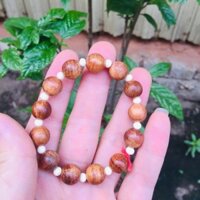 Vòng hạt sưa đỏ hạt 10 li