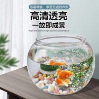 Vòng lọc bể cá bể tròn Acrylic để bàn văn phòng phòng khách nhà hình cầu có độ thấm cao Bộ bơm tuần