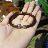 Vòng nho rừng Tây Tạng