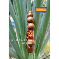 Vòng tay cây dâu tằm xịn mix hạt khắc chú đỏ trừ tà Unisex