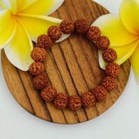 Vòng tay Gentri Rudraksha chính hãng của Balinese