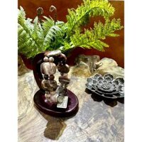 Vòng tay gỗ hoá thạch