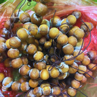 Vòng Tay Hạt Gỗ Hoàng Đàn Tuyết Lạng Sơn Cao Cấp - Nhà Bách Xanh - đủ Size Nam Nữ Người lớn trẻ em - Hương Thơm Ngọt