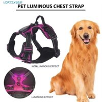 Vortexgem Dây đeo ngực thú cưng phát sáng, Dây nịt chó LED nhấp nháy, Áo Vest phát sáng cổ có đệm mềm có thể điều chỉnh thực tế để đi bộ ban đêm