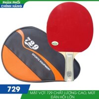 Vợt bóng bàn 729 1060