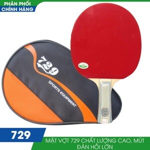 Vợt bóng bàn 729 - 1060