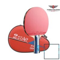Vợt bóng bàn 729 2Star Xuất Xứ Trung Quốc Cho người mới Tập chơi