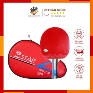 Vợt bóng bàn 729 - 2Star