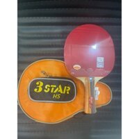 Vợt bóng bàn 729-3 star