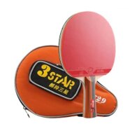 Vợt Bóng Bàn 729 3Star