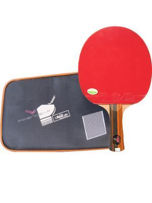 Vợt bóng bàn 729-6035