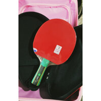 Vợt bóng bàn 729 Very 8-9 sao New - hộp đựng cao cấp có mã khóa  Cốt vợt carbon phù hợp thi đấu và tập luyện