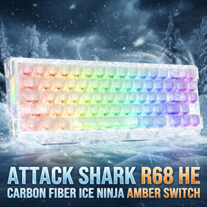 Vợt bóng bàn Amber Carbon