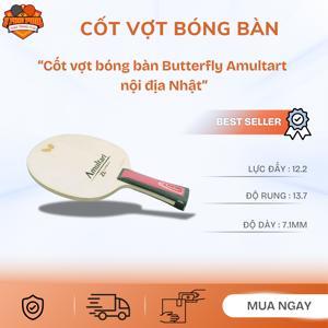 Vợt bóng bàn Amultart