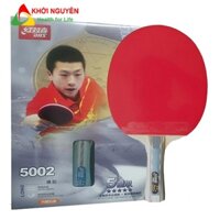 Vợt bóng bàn DHS-5002