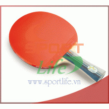 Vợt bóng bàn mút DHS-2002