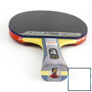 Vợt bóng bàn mút DHS-6002