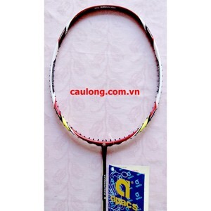 Vợt cầu lông Apacs Vanguaro 11