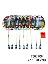 Vợt cầu lông đơn khung PROACE TGR900 (Cây)
